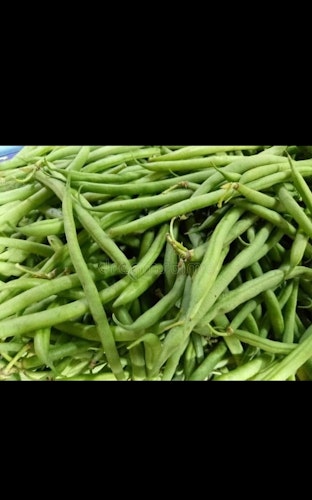 Baguio beans pr, Pack