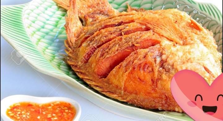 Red Tilapia kg