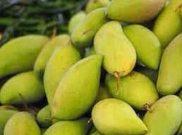 Green Mango 1kg