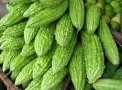 Ampalaya pack 2 Stk 200g