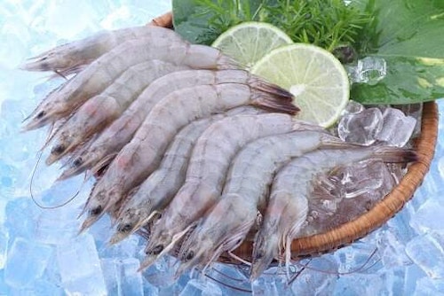 Shrimp with Shell 1kg
