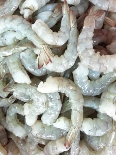 Shrimp with out Shell 1kg