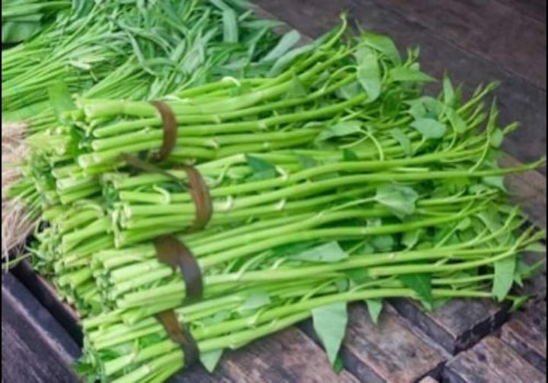 Water spinach
