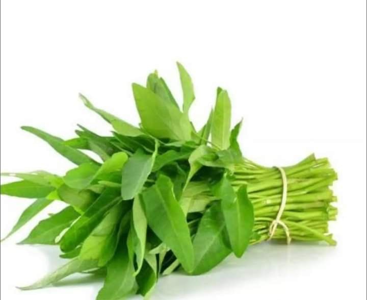 Water spinach