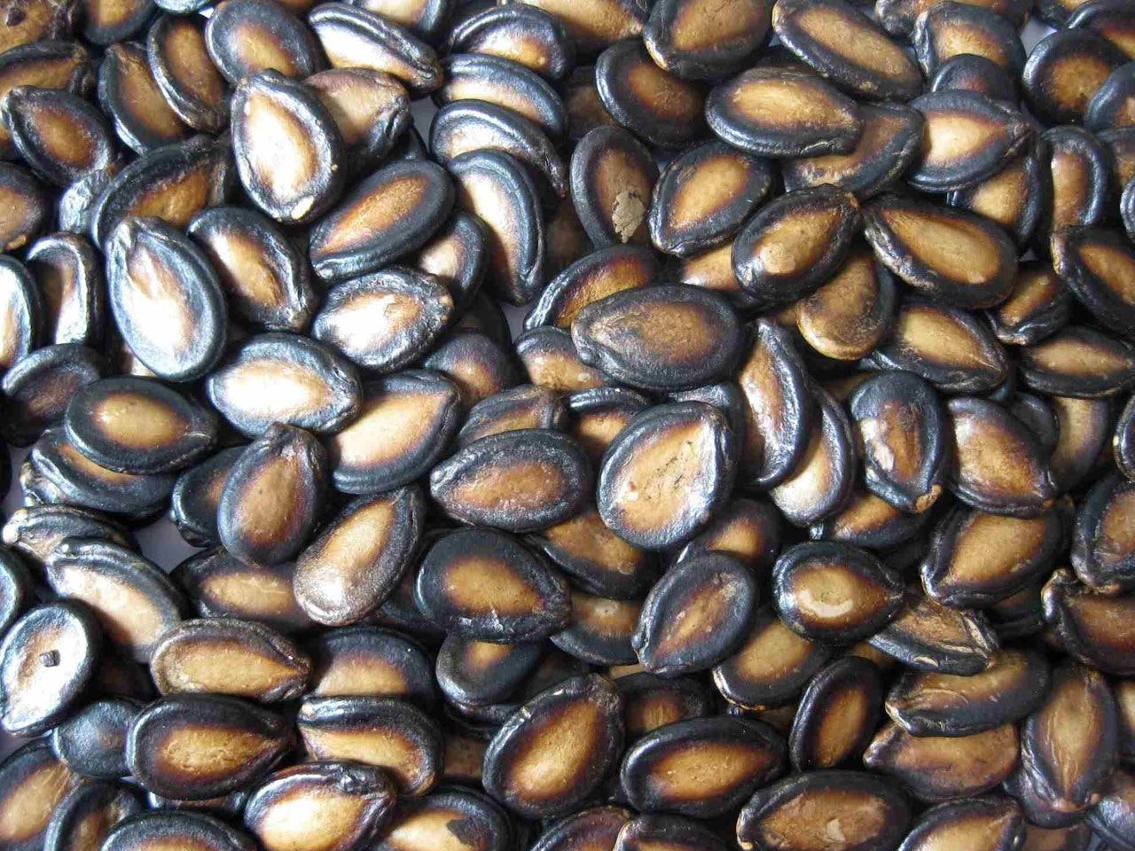 Watermelon seeds