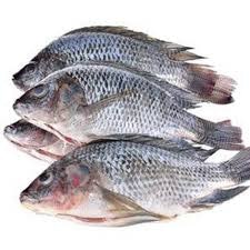 Black tilapia clean 1kg
