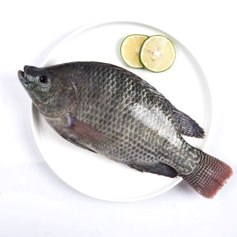 Black tilapia clean 1kg
