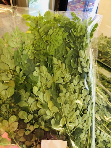 Malunggay/ morning plant 200g