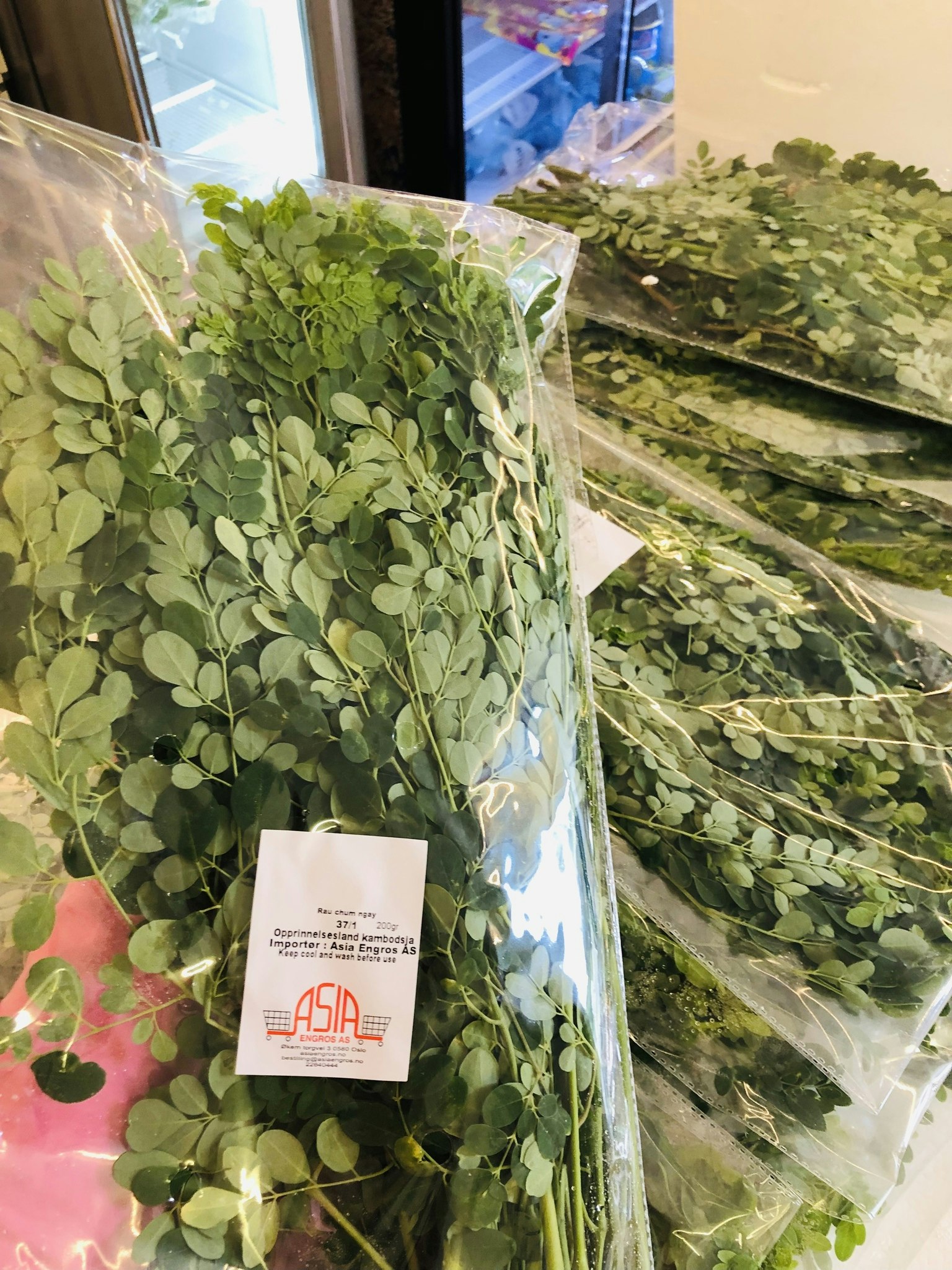 Malunggay/ morning plant 200g
