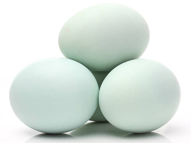 COOKED BALUT / DUCK EGG