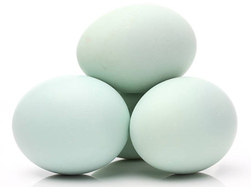 COOKED BALUT / DUCK EGG