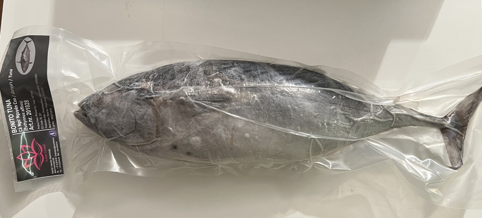Bonito Tuna whole (1.5kg)