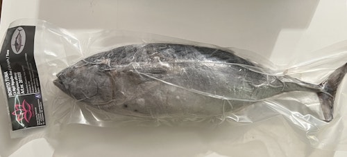 Bonito Tuna whole (1.5kg)