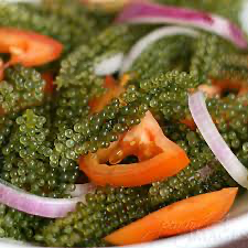Sea Grapes Super Food from Ocean 79 stk