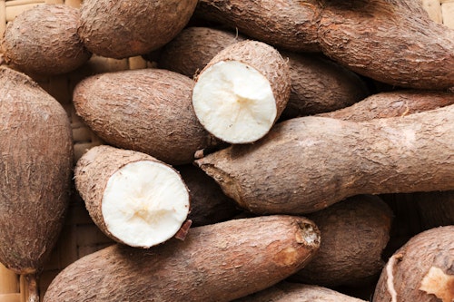 Cassava fresh