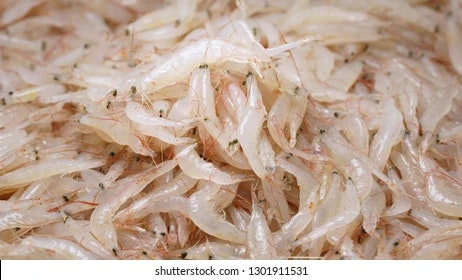 Dried small shrimps 200g
