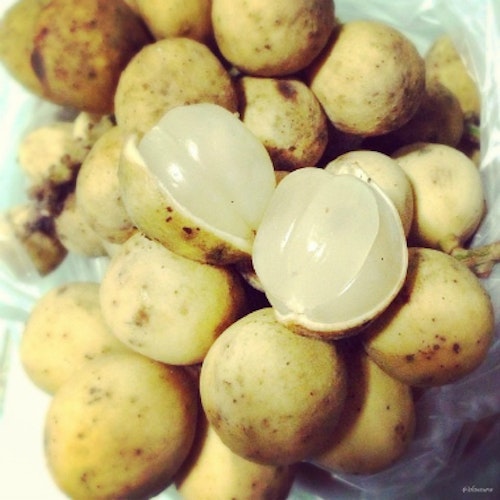 Lanzones 500g