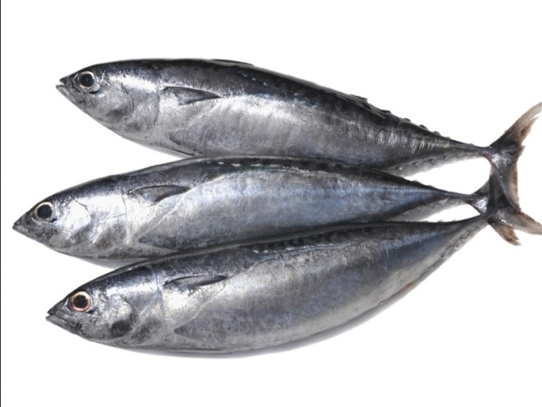 Kapamilya Bullet tuna /Tulingan 1 kg