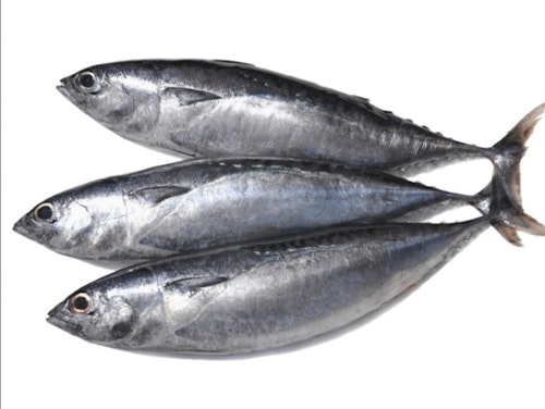 Kapamilya Bullet tuna /Tulingan 1 kg