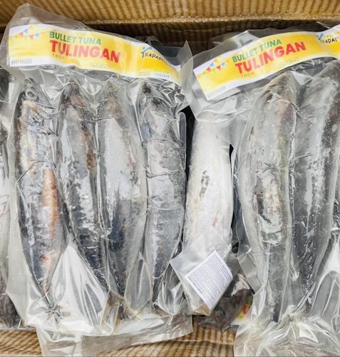Bullet Tuna/ Tulingan  1kg