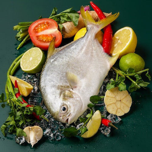 SIDRA INTERNATIONAL FISH / Silver Promfret  400-500g