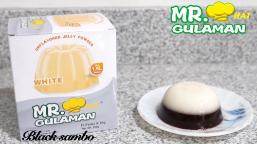 Mr gulaman white 25g