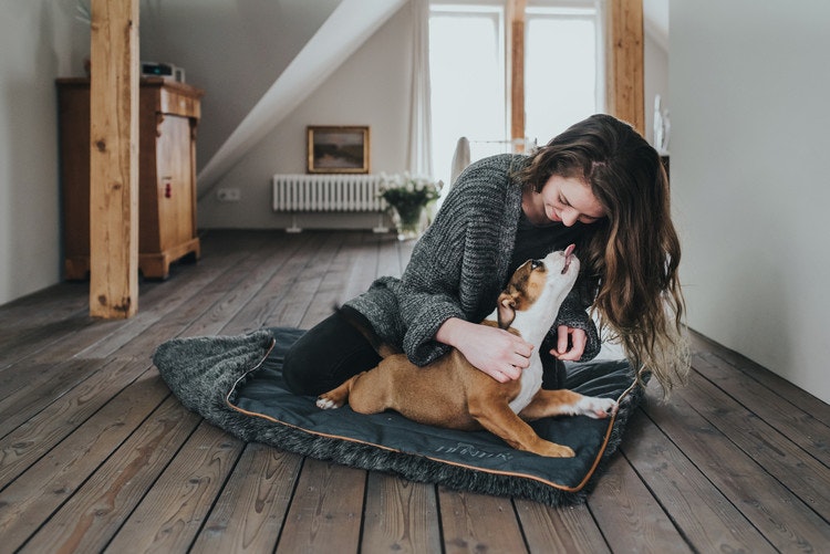 HUNTER Bergamo Hund Dyna Antracitgrå