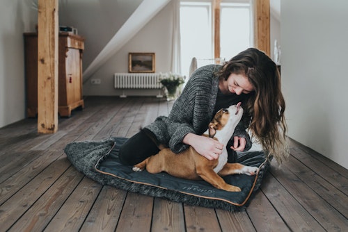 HUNTER Bergamo Hund Dyna Antracitgrå