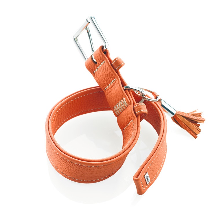 HUNTER Hundhalsband Cannes Orange Kalvläder