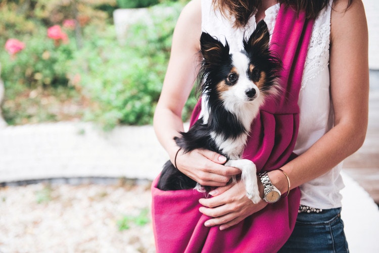 HUNTER Bärväska Hund Los Angeles Bärsele Rosa