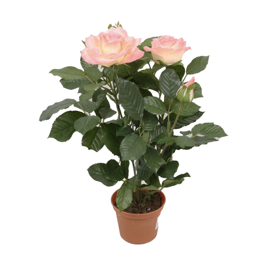 Konstväxt Royal Rose 34 cm