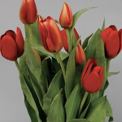 Konstväxt Tulpanbukett Röd 40 cm