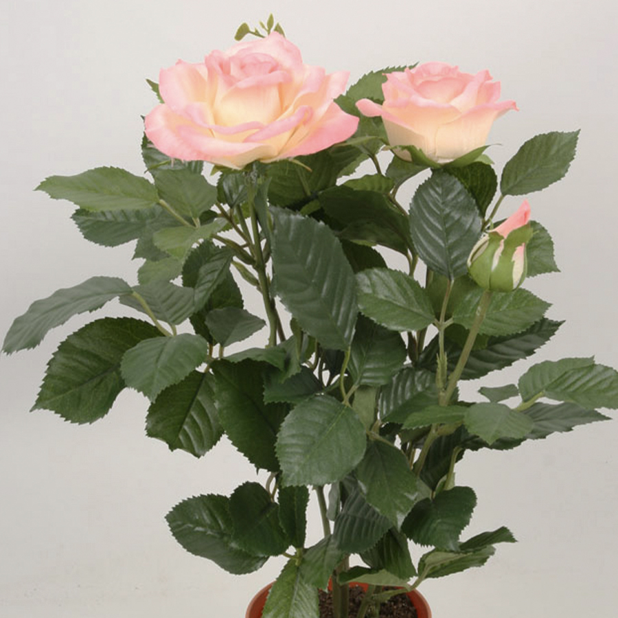 Konstväxt Royal Rose 34 cm