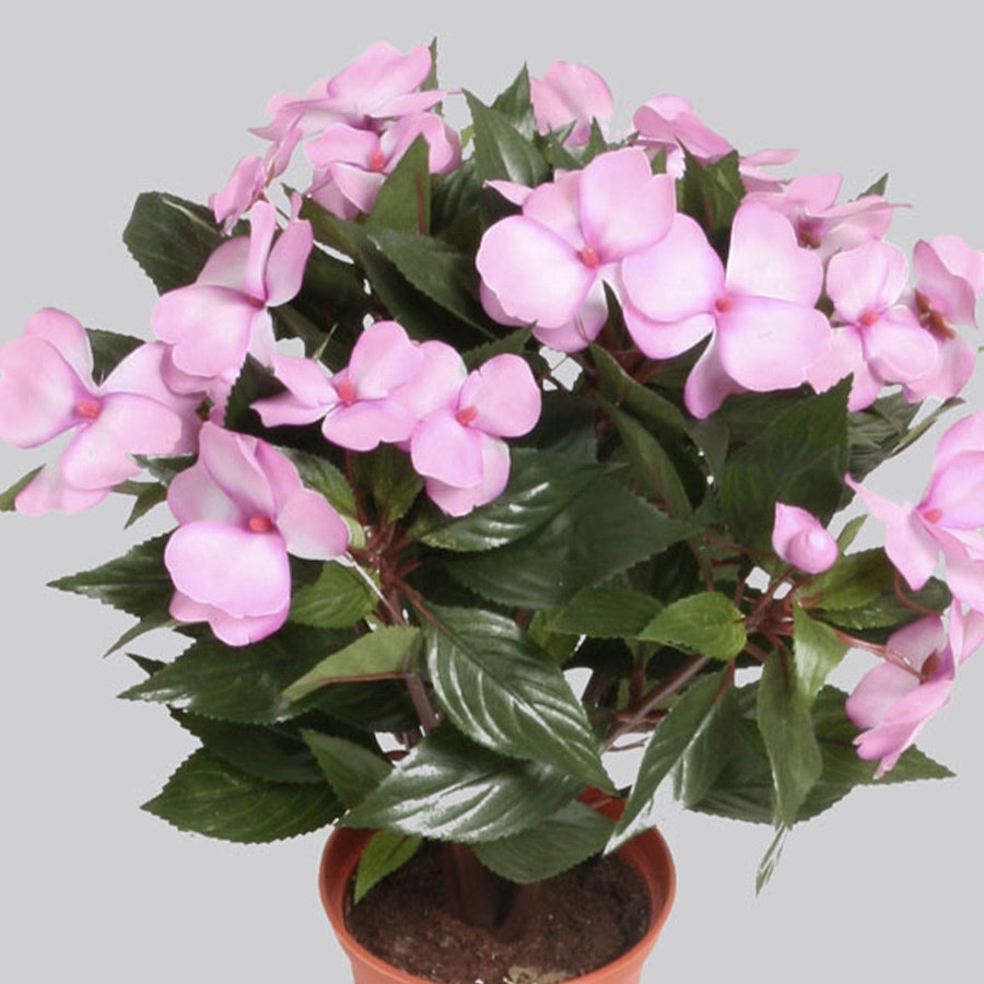 Konstväxt Impatiens Rosa 40 cm