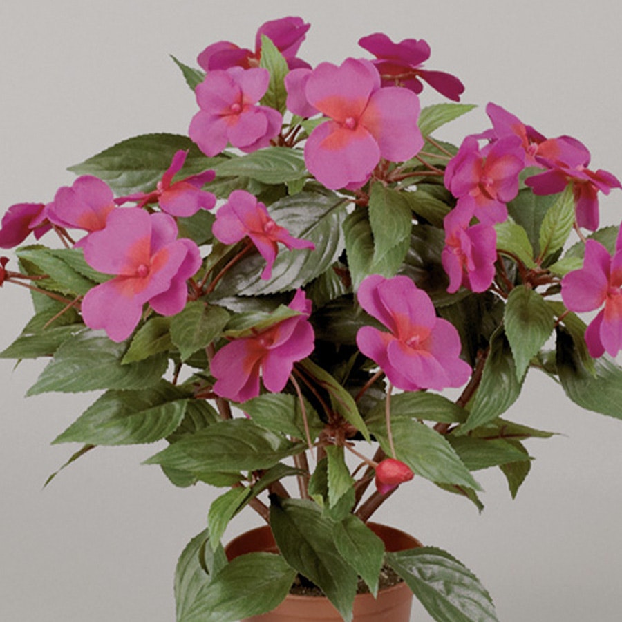 Konstväxt Impatiens Cerise 40 cm