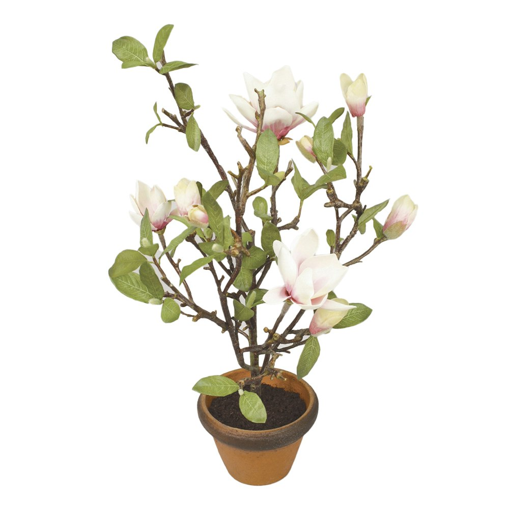 Konstväxt Magnolia Kruka Rosa 65 cm