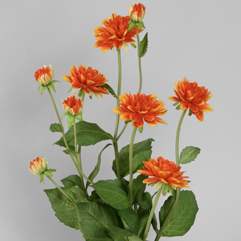 Konstväxt Dahlia Kruka Orange 35 cm