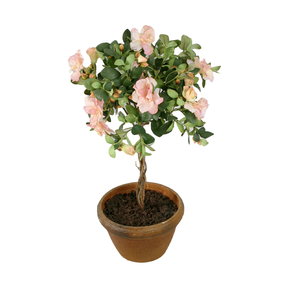 Konstväxt Azalea Kruka Rosa 65 cm