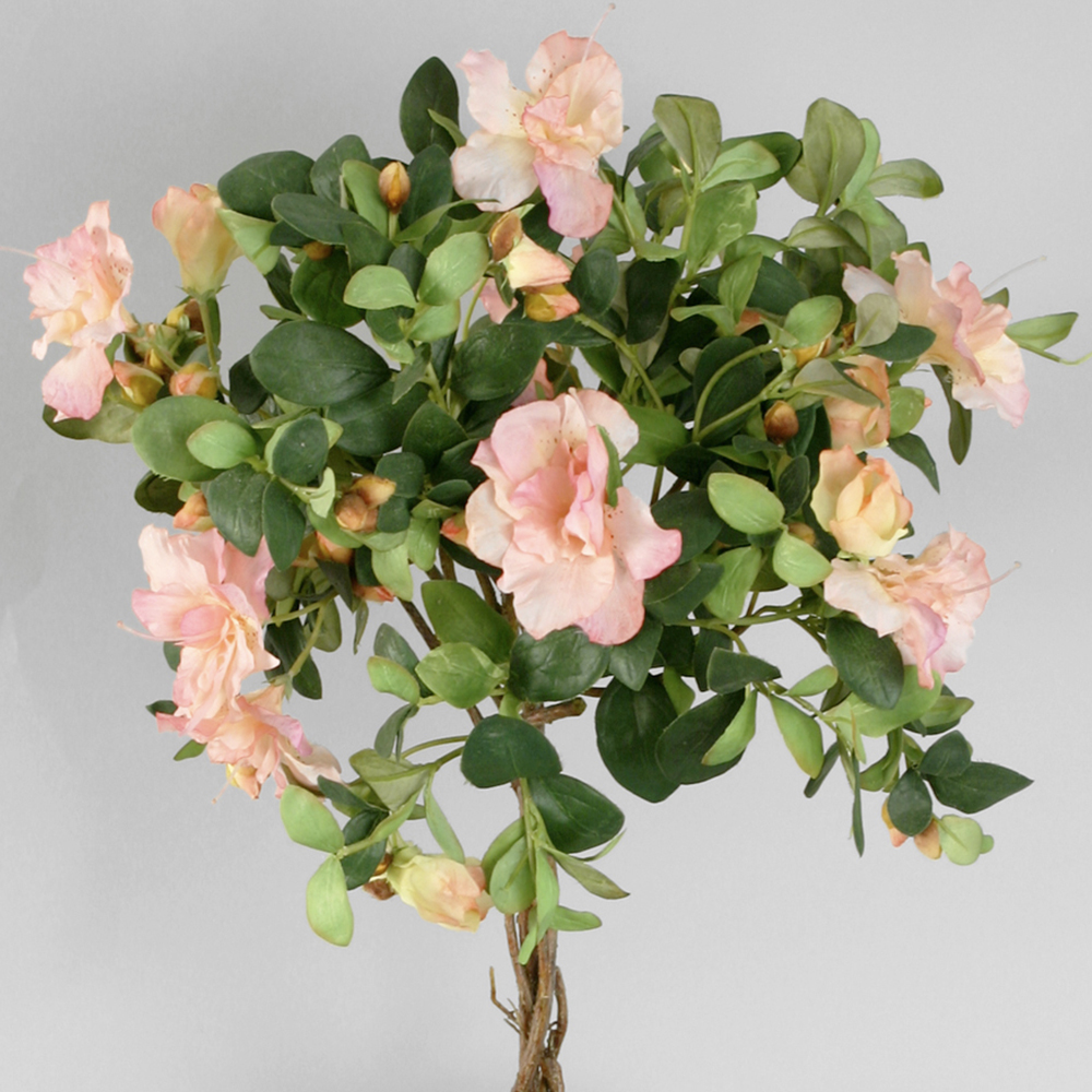 Konstväxt Azalea Kruka Rosa 65 cm