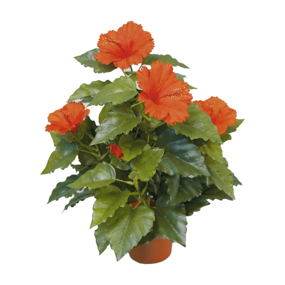 Konstväxt Hibiscus Röd 42 cm