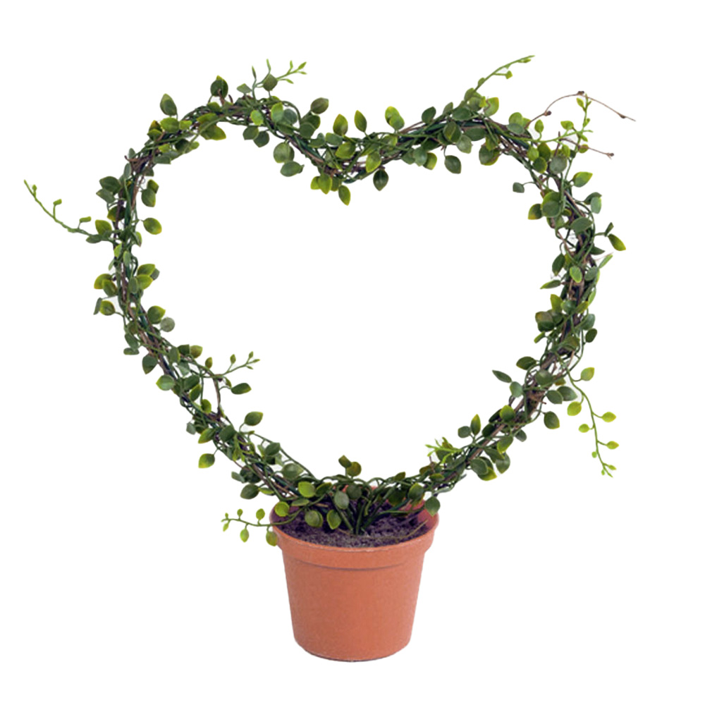 Konstväxt Callisia Hjärtformad Grön 30 cm