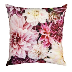 Kuddfodral Sammet Dahlia Rosa 45x45 cm