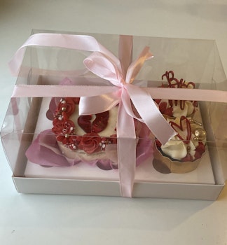 Genomskinlig box