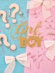 Tårtdekor-BOY OR GIRL