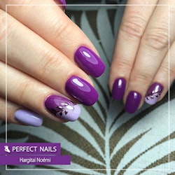 Perfect Nails - Purple Rain kit
