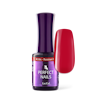 Perfect Nails - Lipstick kit