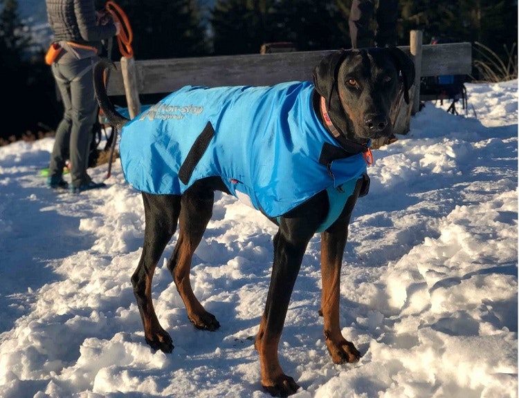 Täcke Bleist Jacket Non-Stop Dogwear - Grönlunds Jakt & Fiske AB