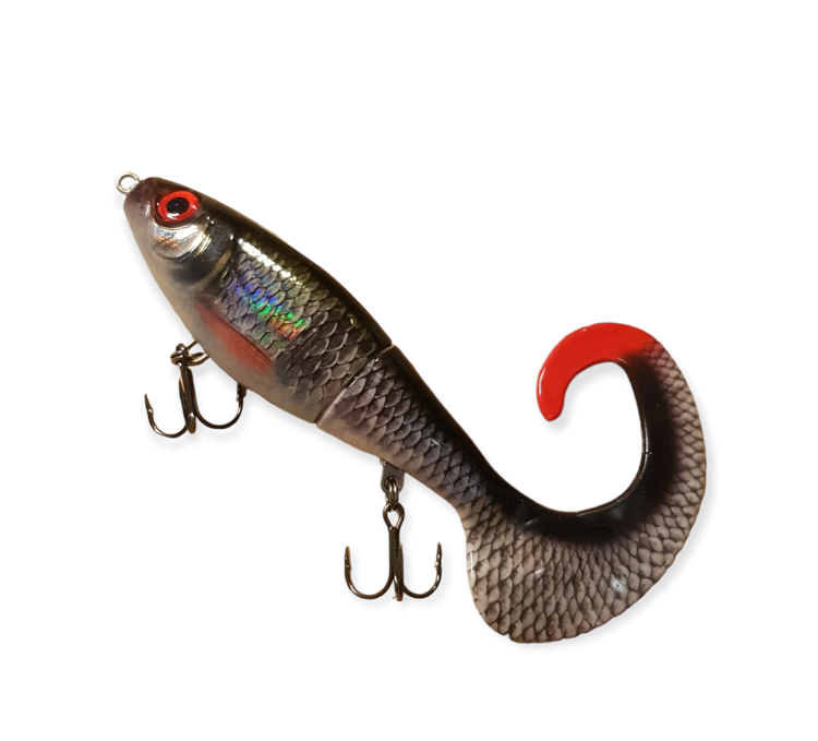 Rapala X-rap Otus, Live Roach 17cm