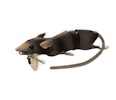 3D Rat 20cm, 32g
