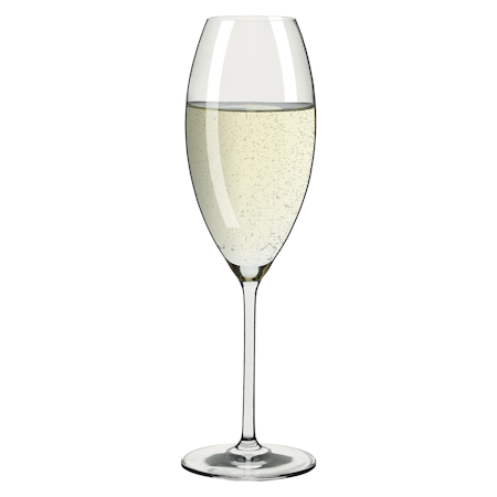 Glanzlicht Champagneglas 2-p